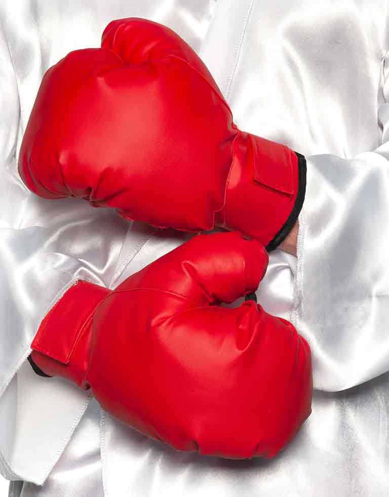 Boxing Gloves OS Red