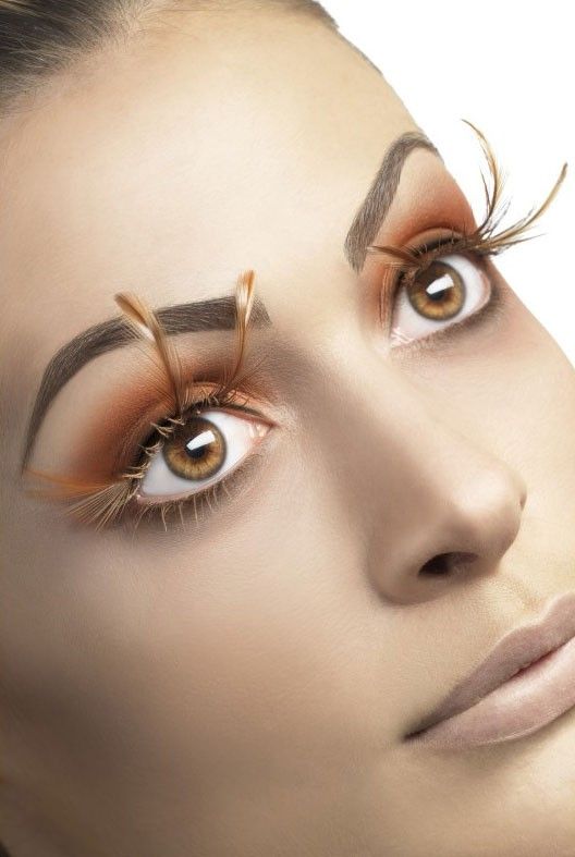 Eyelashes Long Brown Feathers