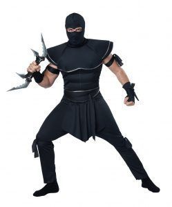 Stealth Ninja