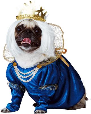 Queen Of Bones Dog Costume
