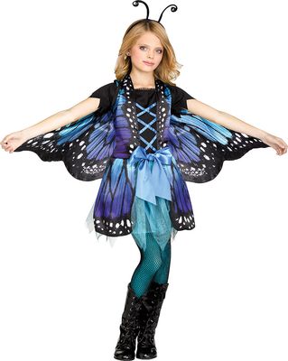 Shy Butterfly