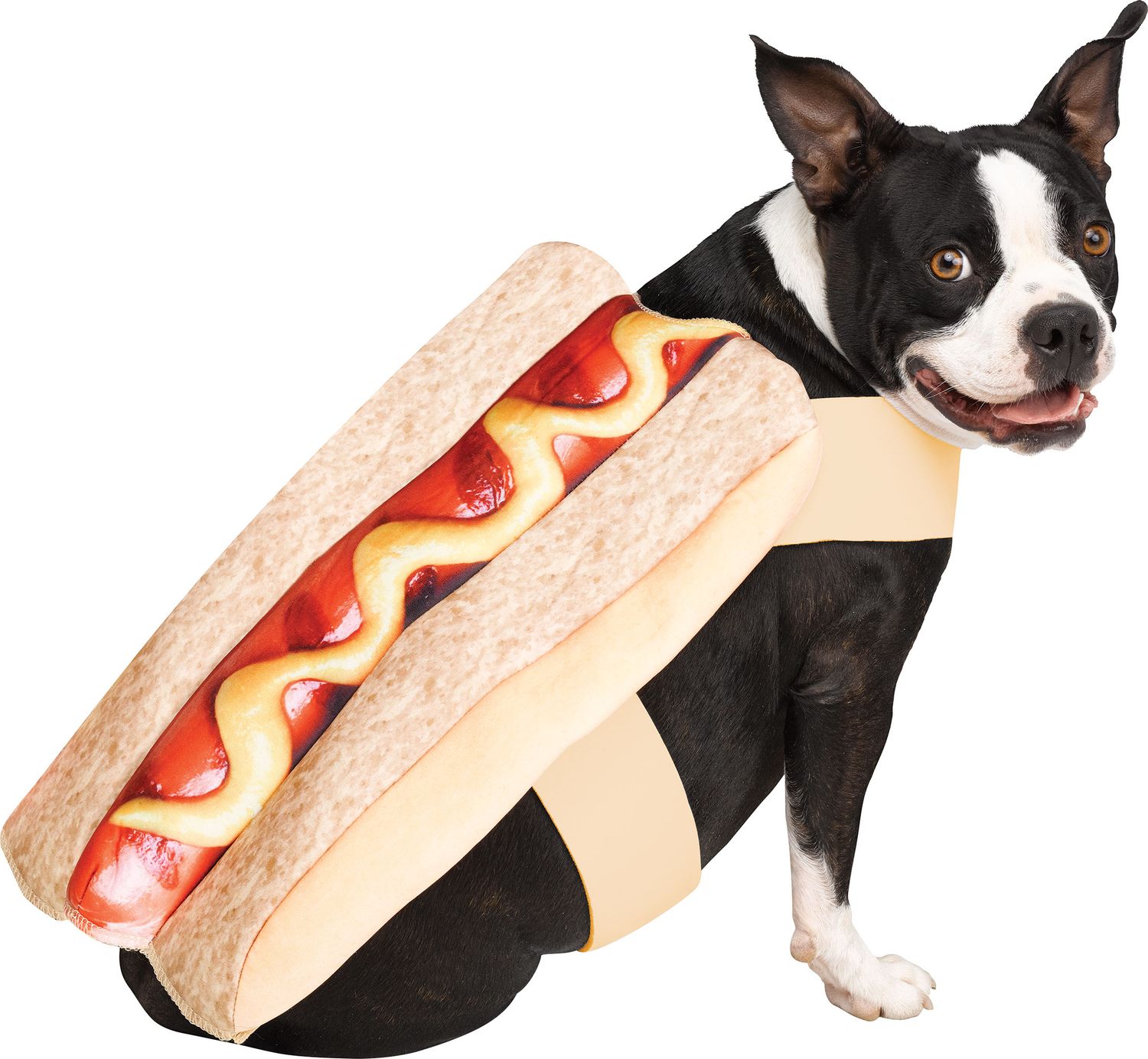Hot Dawg