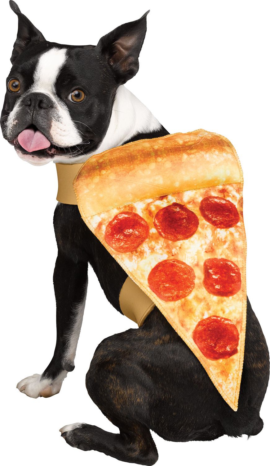 Pizza Pup