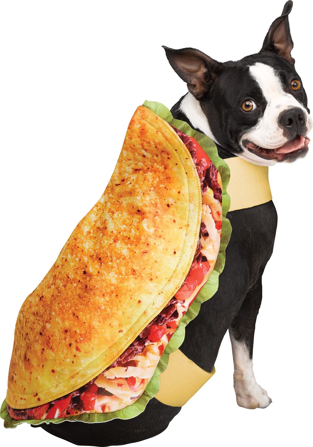 Taco Dog