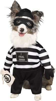 Robber Pup