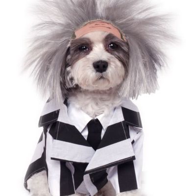 Beetlejuice -
