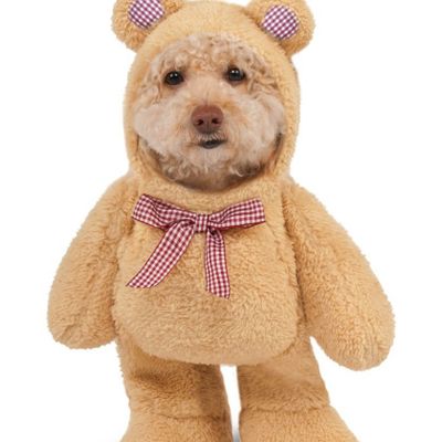 Walking Teddy Bear -