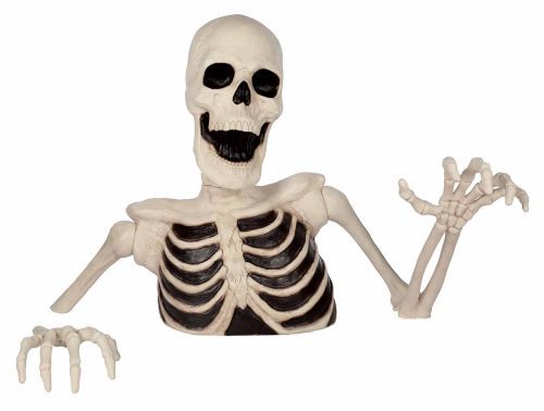 Ground Breaker Skeleton 35&quot;