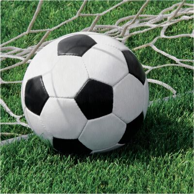 Sports Fanatic Soccer - Luncheon Napkins 16ct