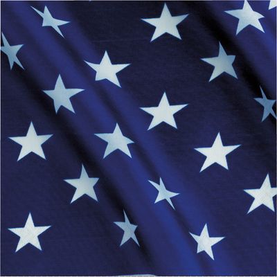 Stars and Stripes - Luncheon Napkins 16ct