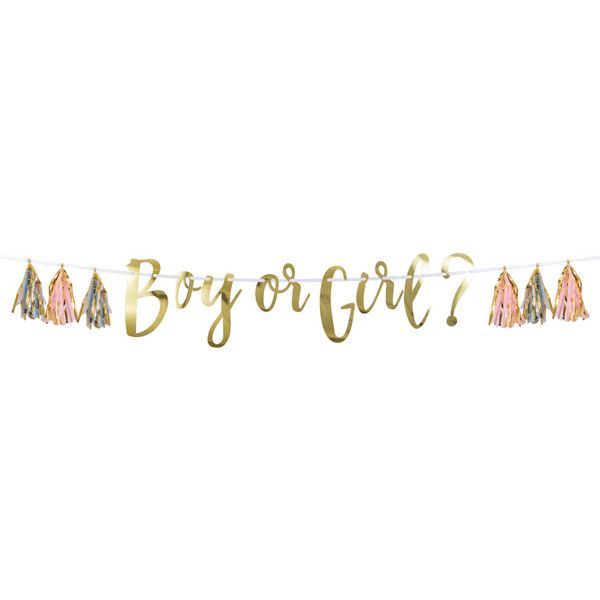 Pink, Blue, and Gold Boy or Girl Tassel Banner