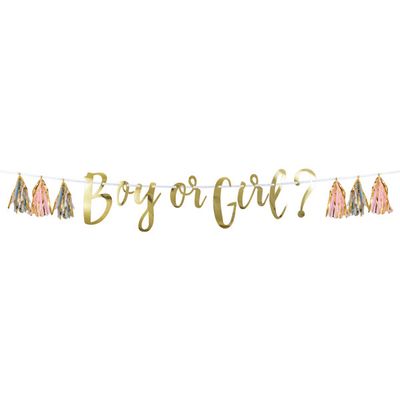 Pink, Blue, and Gold Boy or Girl Tassel Banner