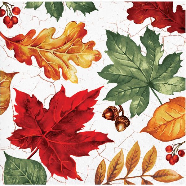 Autum Air - Beverage Napkin 2 Ply 16 Ct
