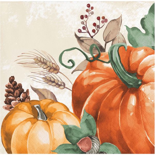 Harvest Delight - Beverage Napkin 2 Ply 16 Ct