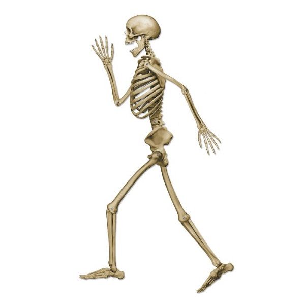 Jointed Skeleton Profile Pete Cutout 37&quot;