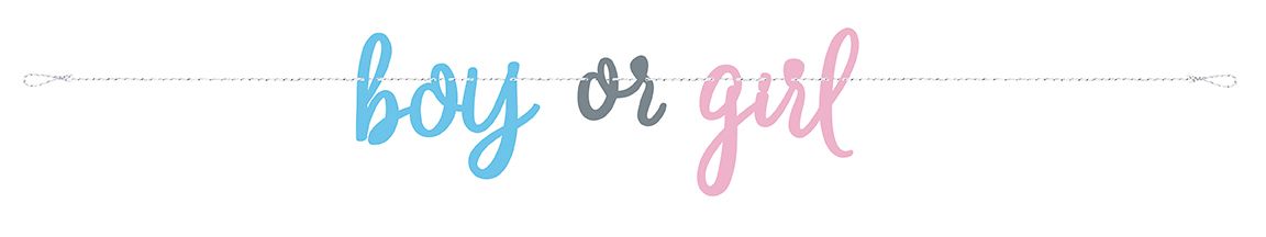 Gender Reveal - Banner
