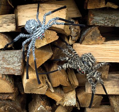 Fuzzy Spider 20&quot; -