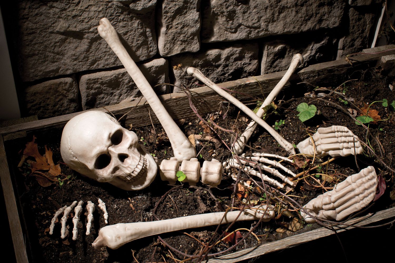 Bag O&#39; Bones