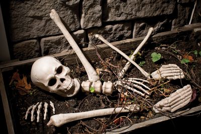 Bag O&#39; Bones