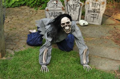 Creeping Dead 5&#39; Skeleton - Black