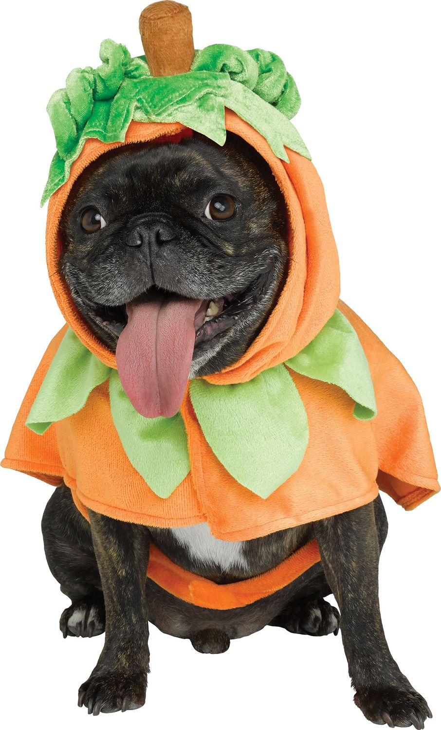 Pumpkin Pet Poncho -, Size: S/M 11-28lbs