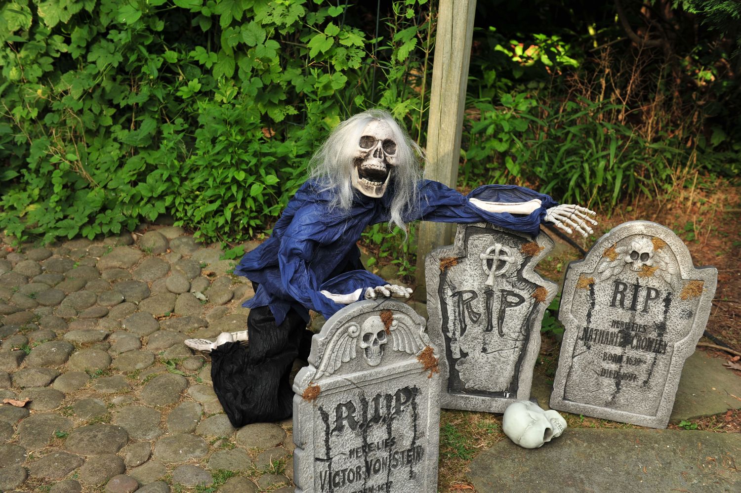 Creeping Dead 5&#39; Skeleton - Grey