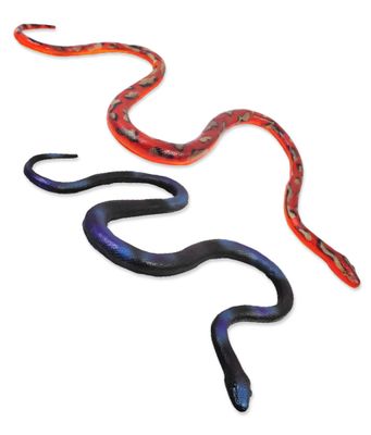 65" Winding Snake -