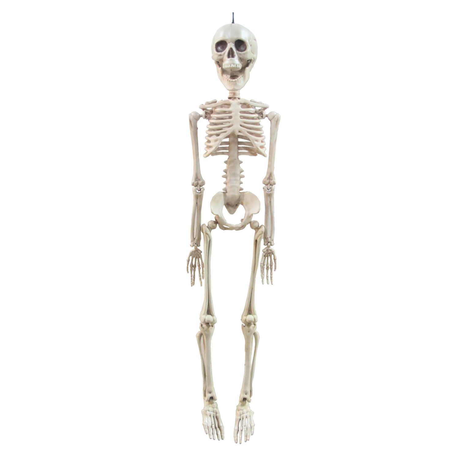 Skeleton 20&quot;