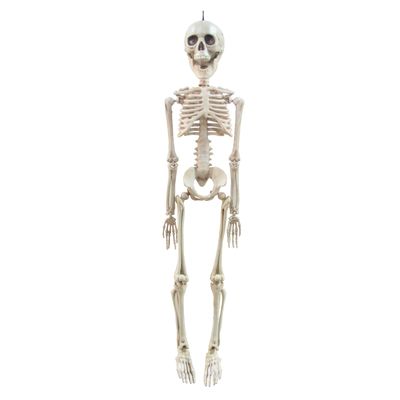 Skeleton 20&quot;