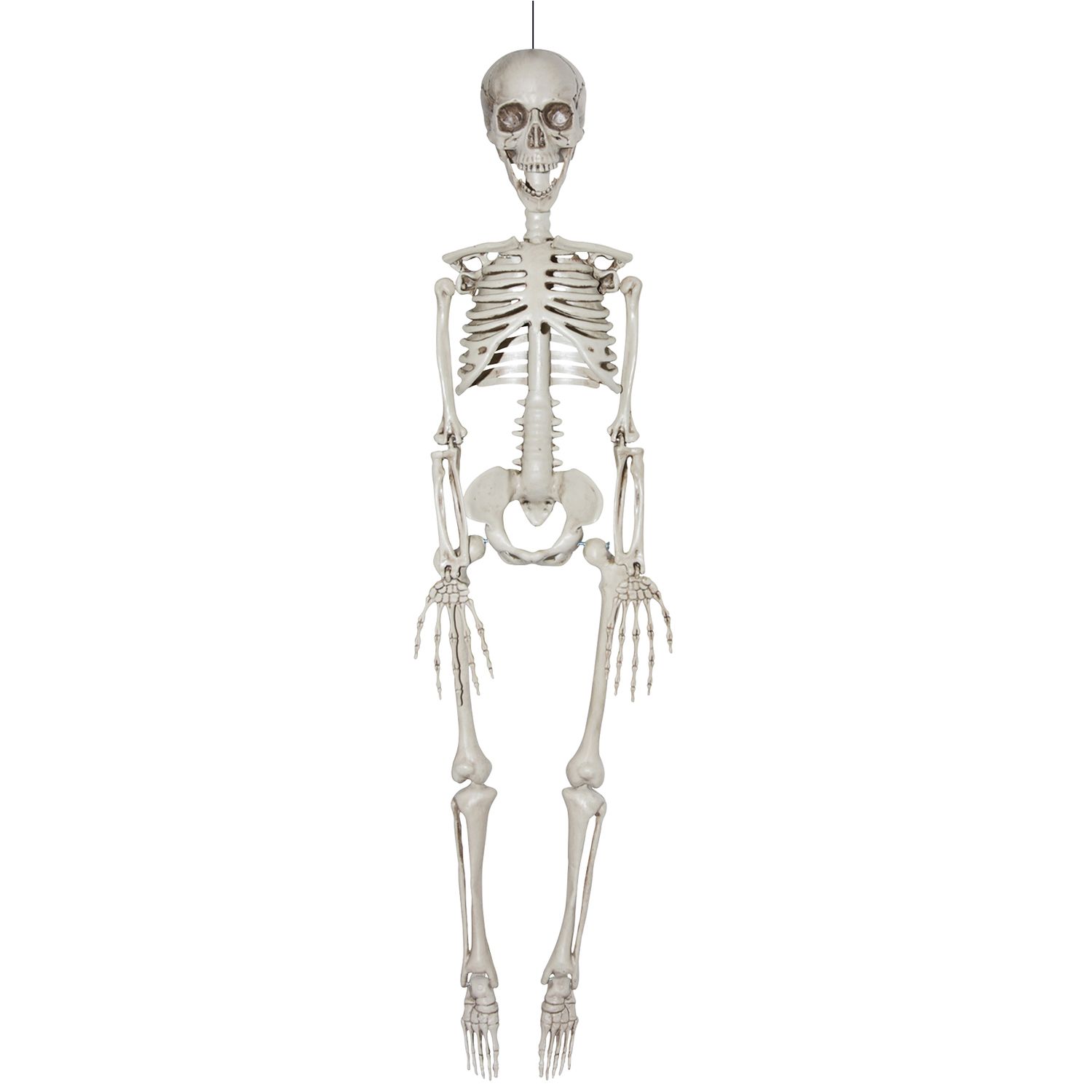 Reailstic Skeleton 35&quot;