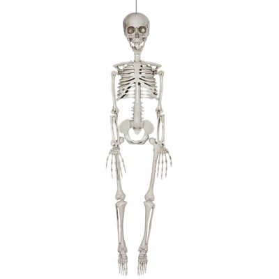Reailstic Skeleton 35&quot;