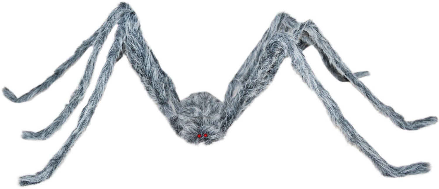 Large Grey Spider