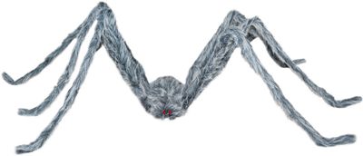 Large Grey Spider