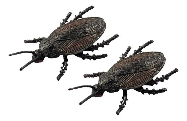 Magnetic Roach - 2 Pack