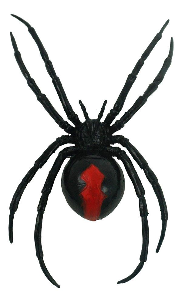 Magnetic Black Widow Spider 4.9&quot;