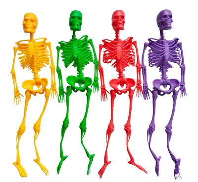 13&quot; Neon Skeleton 4 pack