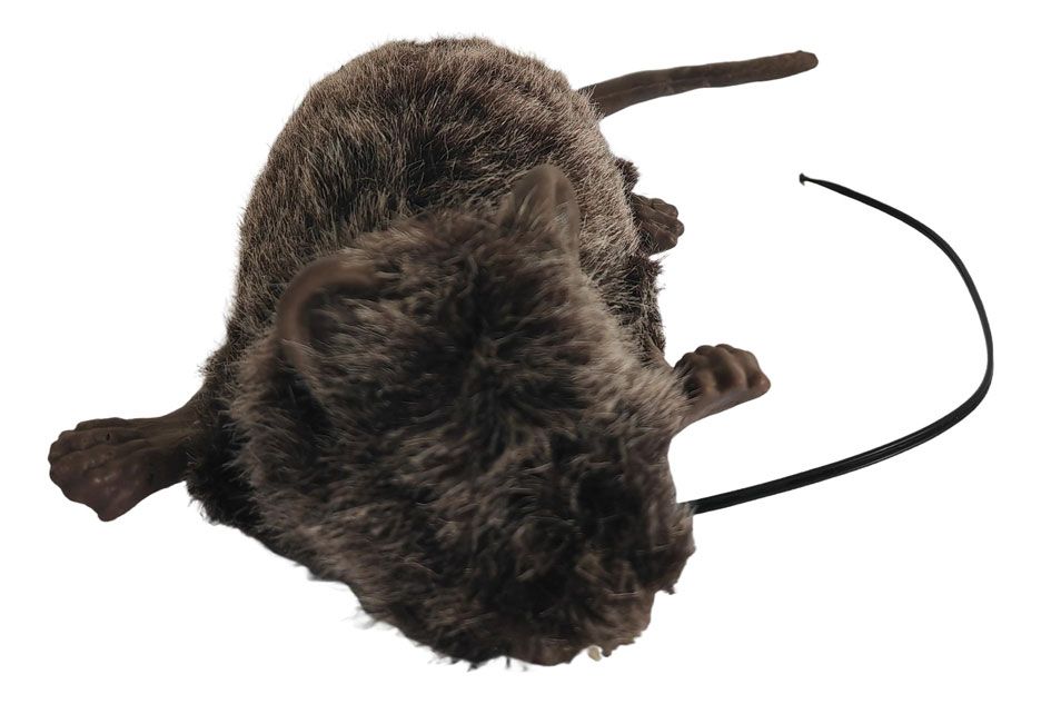 11&quot; Squeaking Rat