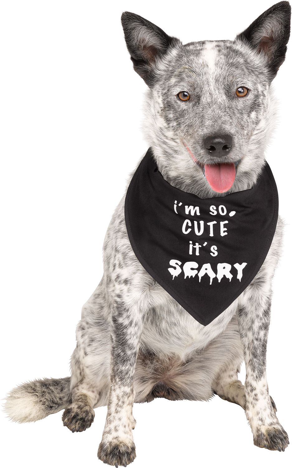 Pet Bandana, Attribute: Black Cute &amp; Scary, Size: L/XL