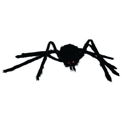 Black Walking Spider 39in
