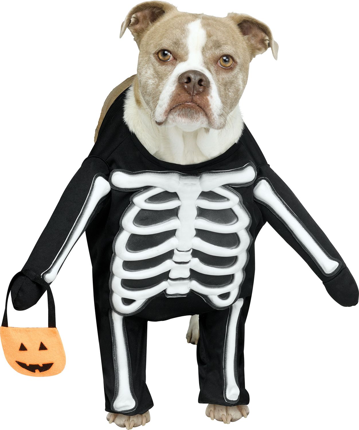 Skele-Dog -, Attribute: Pet, Size: Small