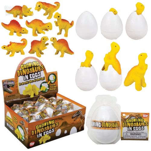 Growing Dinosaur Egg 3&quot; - 12 Ct Box