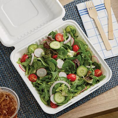 1 Comp Take Out Box Plant Fiber 9x9x3 - 50 Ct Poly Bag