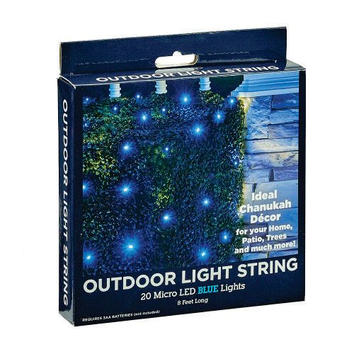 Outdoor Light String with 20 Micro LED Blue Lights