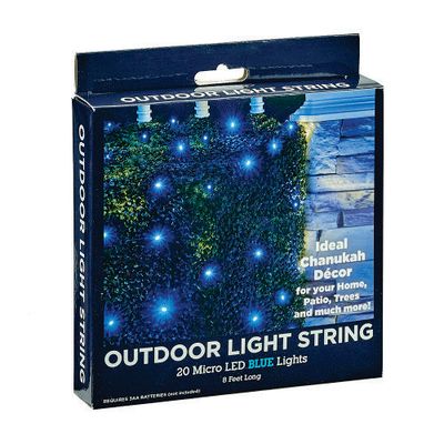 Outdoor Light String with 20 Micro LED Blue Lights
