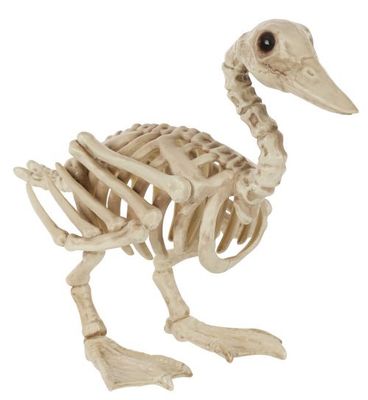 Skeleton Duck Lrg 7"