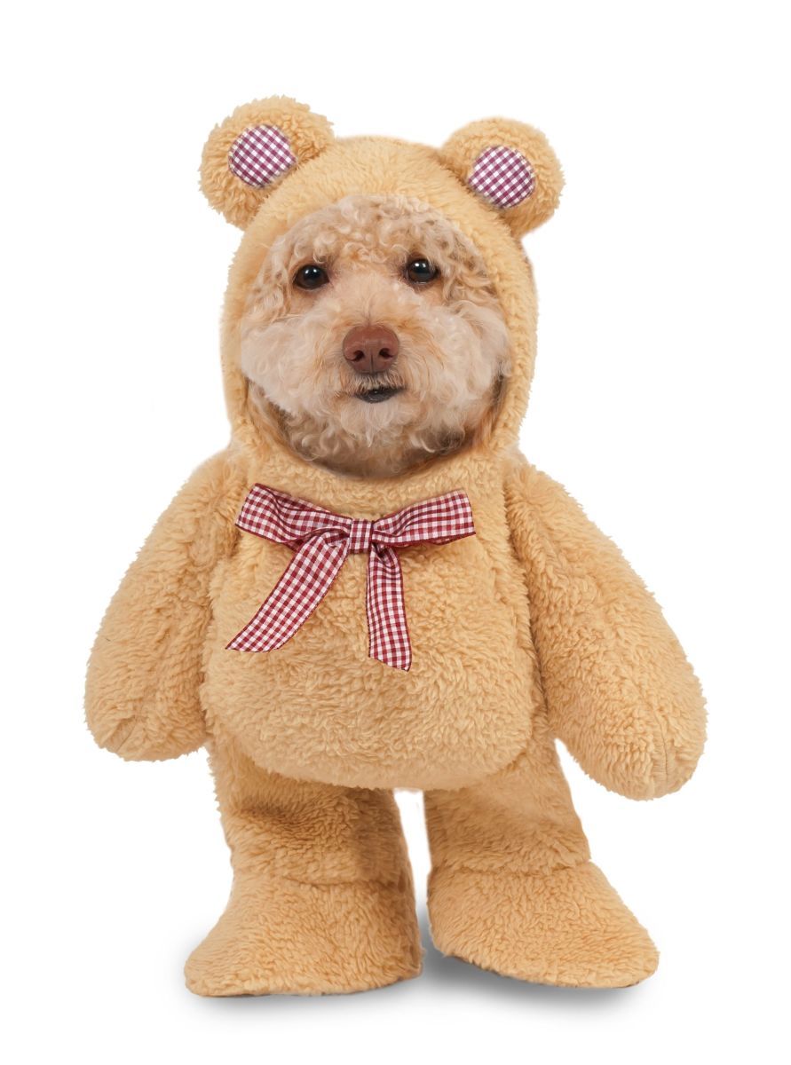 Walking Teddy Bear -, Attribute: Pet, Size: Sm