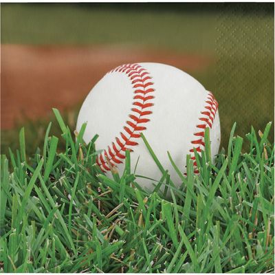 Sports Fanatic Baseball - Beverage Napkins 18ct