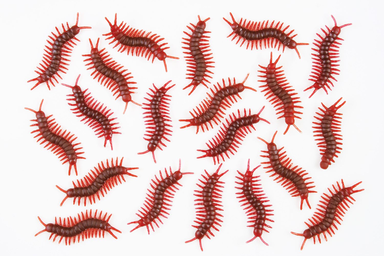 Bag O'Bugs, Style: Centipedes 20ct