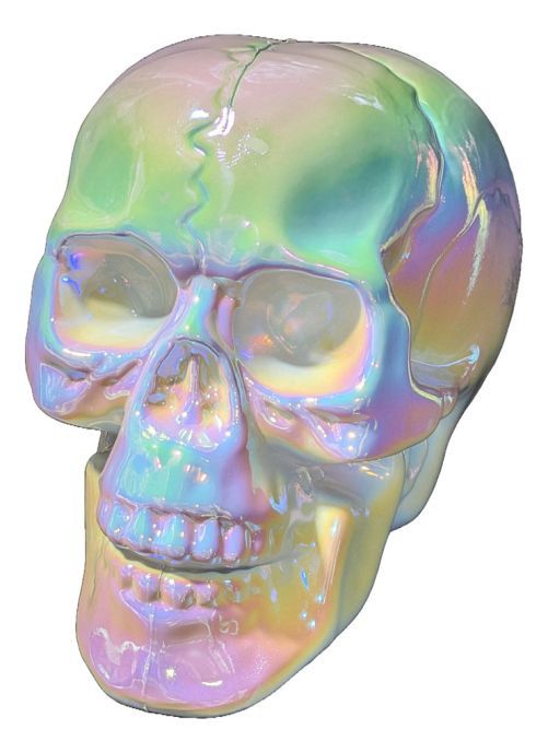 Skull Pearl 7"