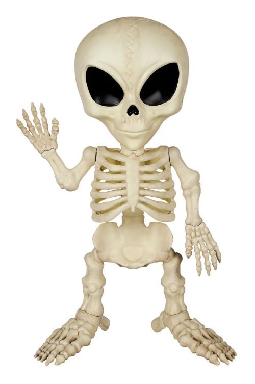 Creepy Alien Skeleton 18" Natural
